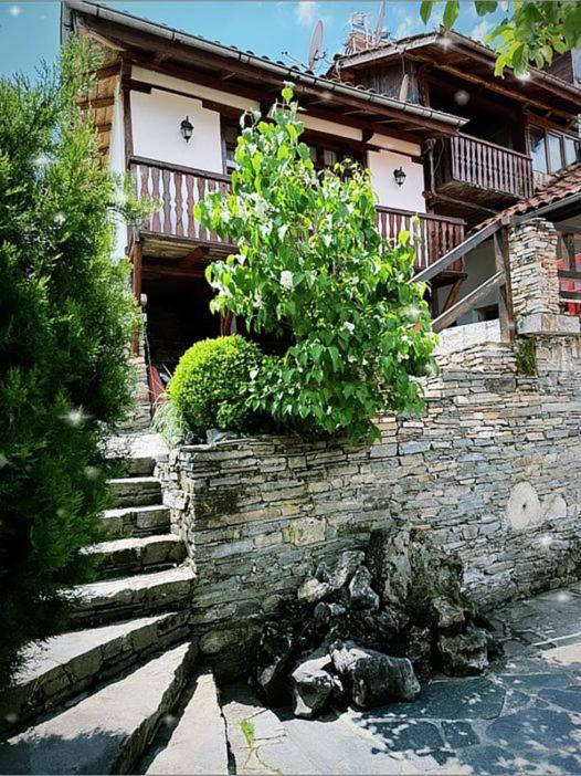 Sharkov Guest House Dolen  Εξωτερικό φωτογραφία