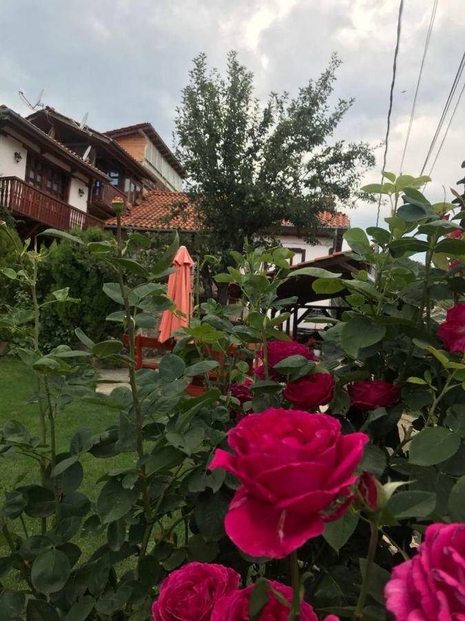 Sharkov Guest House Dolen  Εξωτερικό φωτογραφία